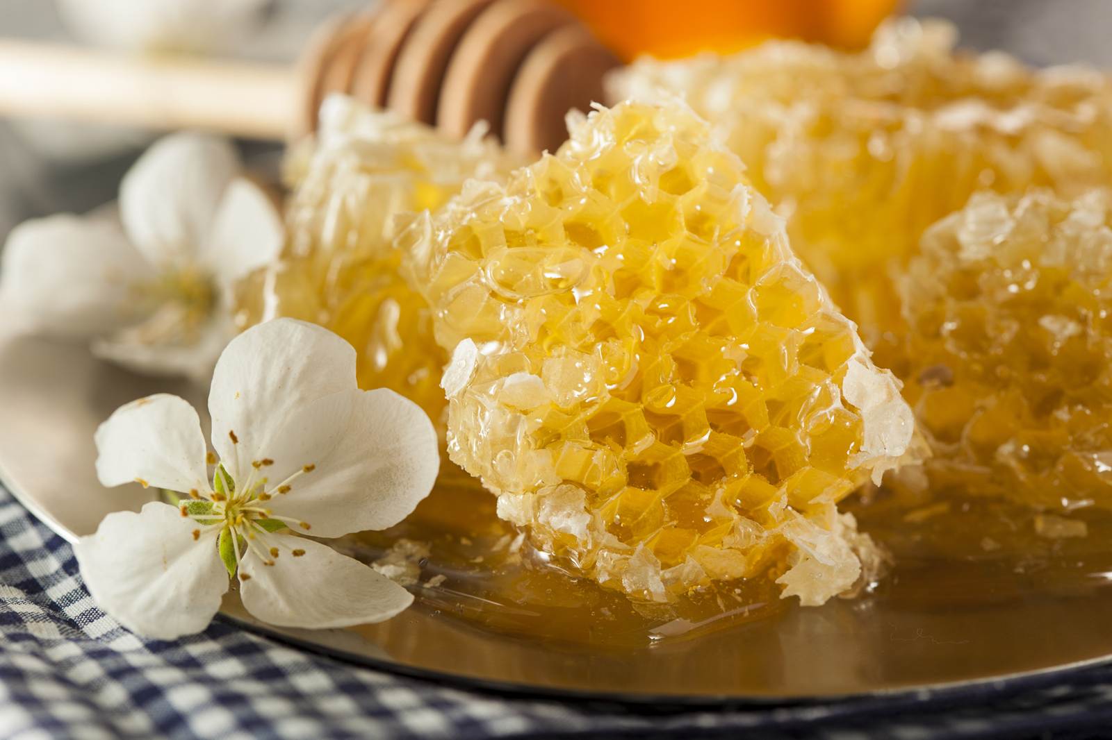 miele naturale biologico